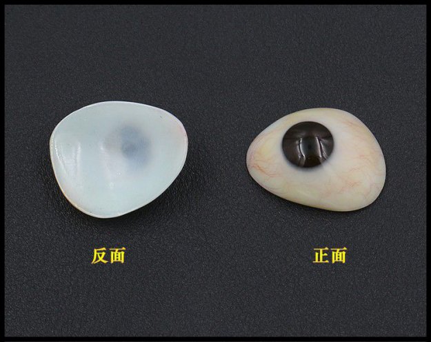 義眼機(jī)構(gòu)